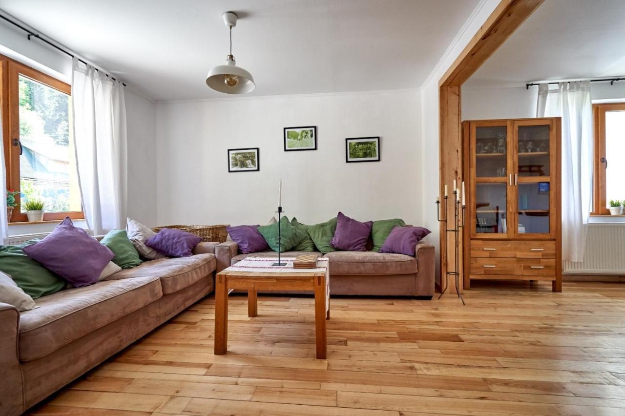 Anahouse Hotel Vişeu de Sus Eksteriør billede