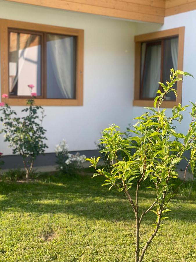 Anahouse Hotel Vişeu de Sus Eksteriør billede