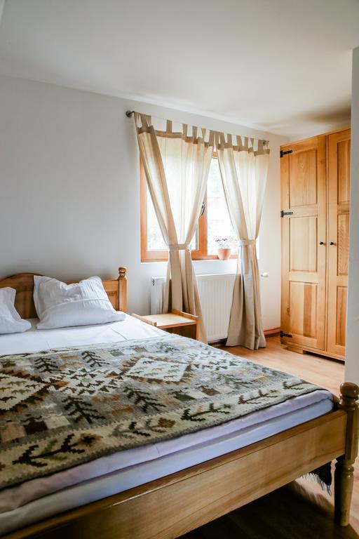 Anahouse Hotel Vişeu de Sus Værelse billede