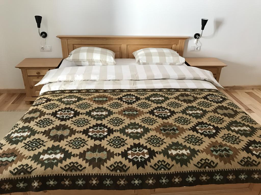 Anahouse Hotel Vişeu de Sus Eksteriør billede